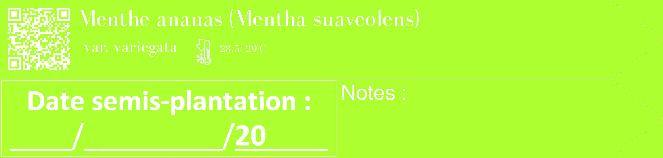 Étiquette de : Mentha suaveolens var. variegata - format c - style blanche17_simple_simplebod avec qrcode et comestibilité