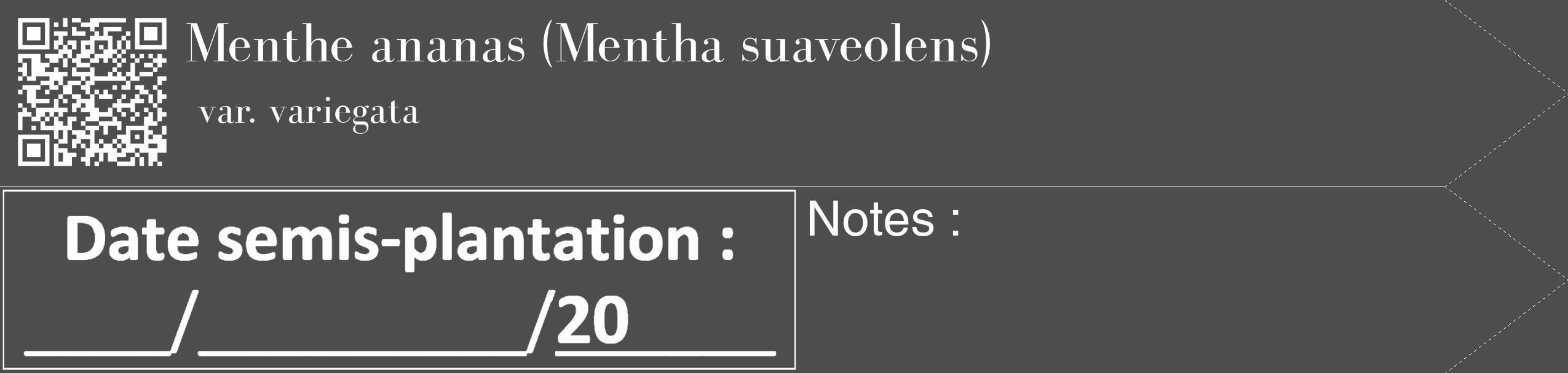 Étiquette de : Mentha suaveolens var. variegata - format c - style blanche28_simple_simplebod avec qrcode et comestibilité
