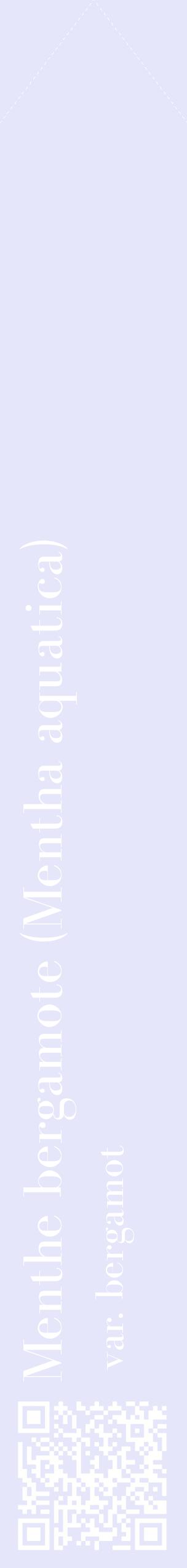 Étiquette de : Mentha aquatica var. bergamot - format c - style blanche55_simplebod avec qrcode et comestibilité