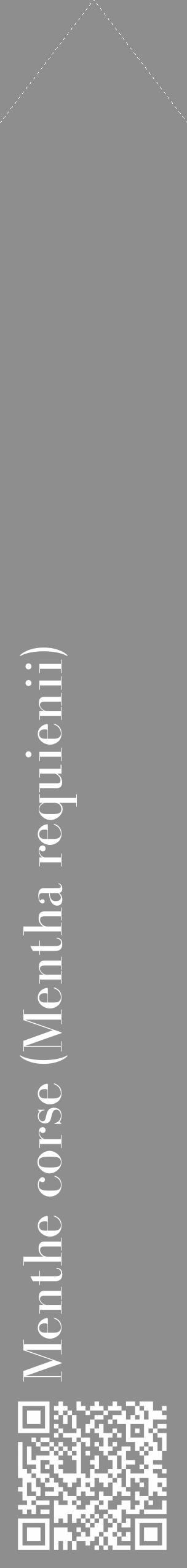 Étiquette de : Mentha requienii - format c - style blanche25_simple_simplebod avec qrcode et comestibilité - position verticale