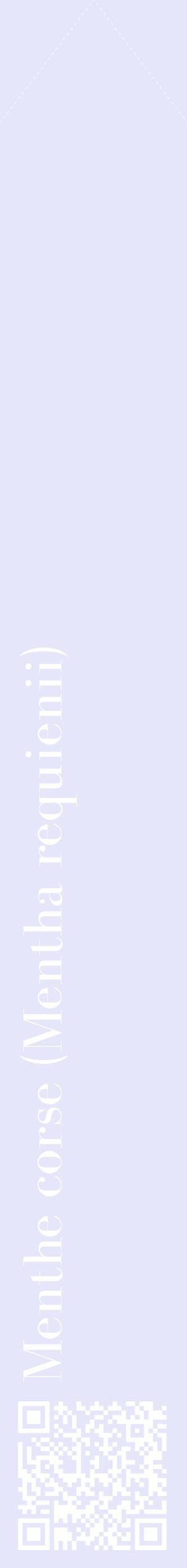 Étiquette de : Mentha requienii - format c - style blanche55_simplebod avec qrcode et comestibilité
