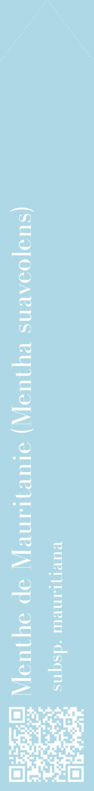 Étiquette de : Mentha suaveolens subsp. mauritiana - format c - style blanche0_simplebod avec qrcode et comestibilité