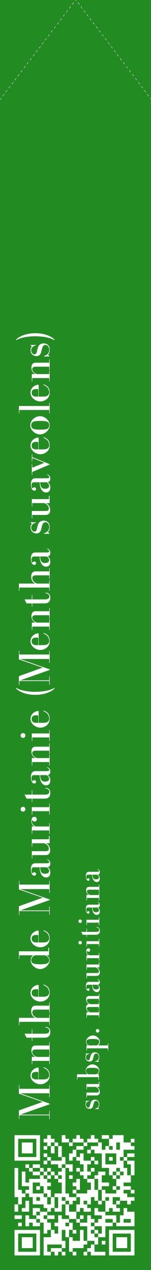 Étiquette de : Mentha suaveolens subsp. mauritiana - format c - style blanche10_simplebod avec qrcode et comestibilité
