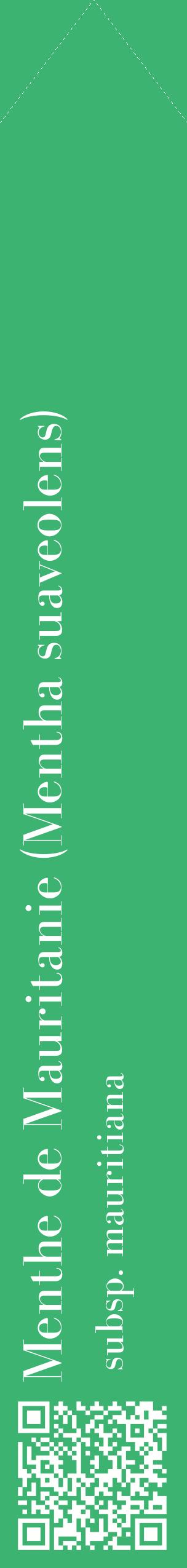 Étiquette de : Mentha suaveolens subsp. mauritiana - format c - style blanche12_simplebod avec qrcode et comestibilité