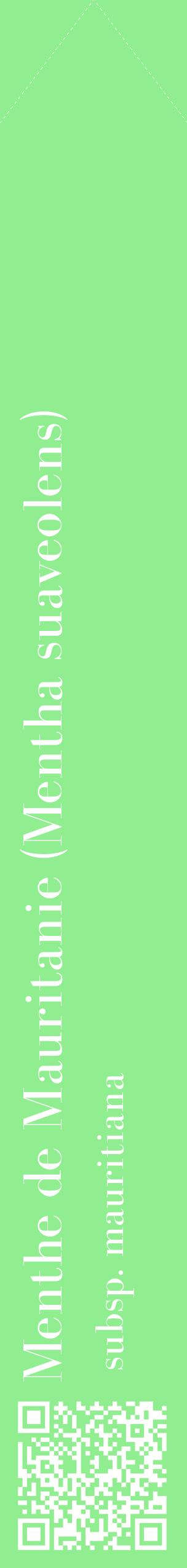 Étiquette de : Mentha suaveolens subsp. mauritiana - format c - style blanche15_simplebod avec qrcode et comestibilité
