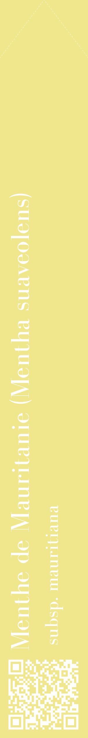Étiquette de : Mentha suaveolens subsp. mauritiana - format c - style blanche20_simplebod avec qrcode et comestibilité