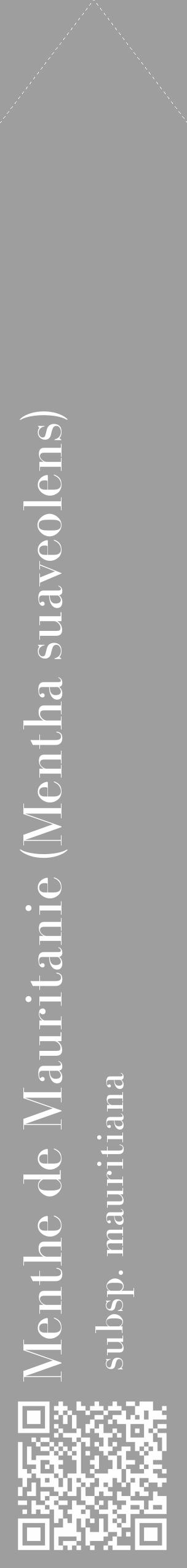 Étiquette de : Mentha suaveolens subsp. mauritiana - format c - style blanche23_simple_simplebod avec qrcode et comestibilité - position verticale