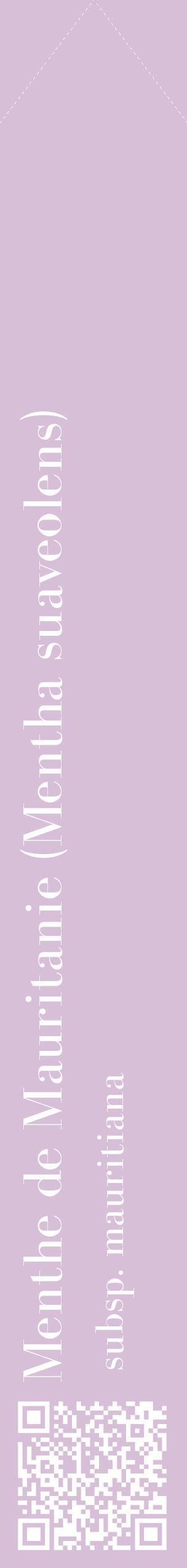 Étiquette de : Mentha suaveolens subsp. mauritiana - format c - style blanche54_simplebod avec qrcode et comestibilité