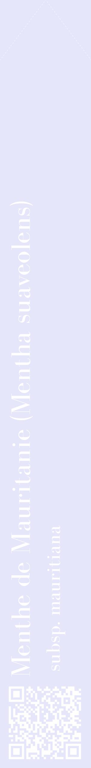 Étiquette de : Mentha suaveolens subsp. mauritiana - format c - style blanche55_simplebod avec qrcode et comestibilité