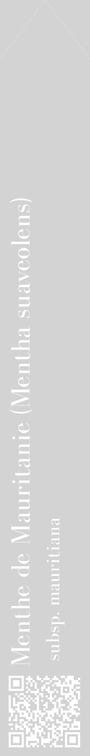 Étiquette de : Mentha suaveolens subsp. mauritiana - format c - style blanche56_simplebod avec qrcode et comestibilité