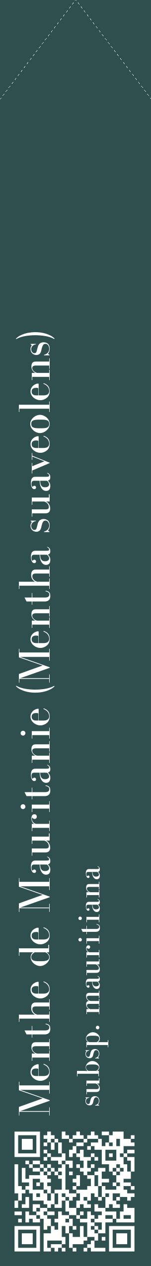 Étiquette de : Mentha suaveolens subsp. mauritiana - format c - style blanche58_simplebod avec qrcode et comestibilité