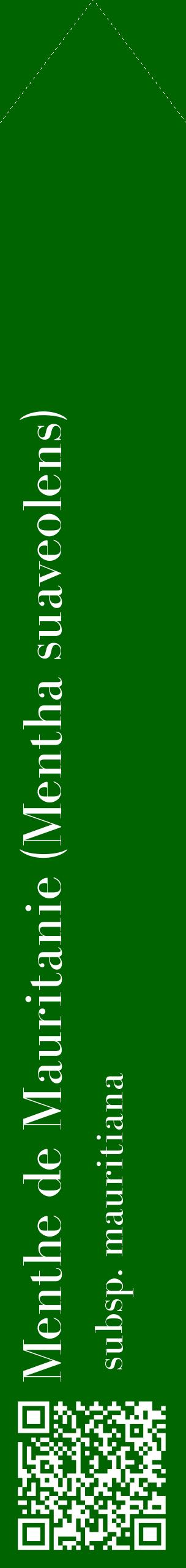 Étiquette de : Mentha suaveolens subsp. mauritiana - format c - style blanche8_simplebod avec qrcode et comestibilité