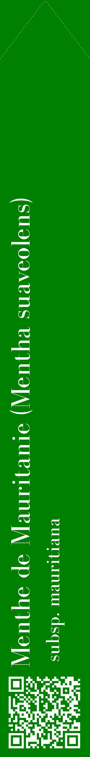 Étiquette de : Mentha suaveolens subsp. mauritiana - format c - style blanche9_simplebod avec qrcode et comestibilité