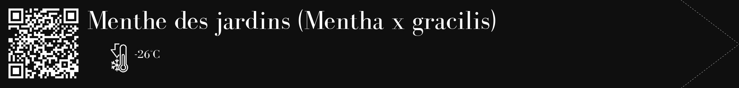 Étiquette de : Mentha x gracilis - format c - style blanche7_simple_simplebod avec qrcode et comestibilité