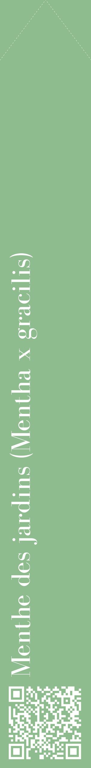 Étiquette de : Mentha x gracilis - format c - style blanche13_simplebod avec qrcode et comestibilité