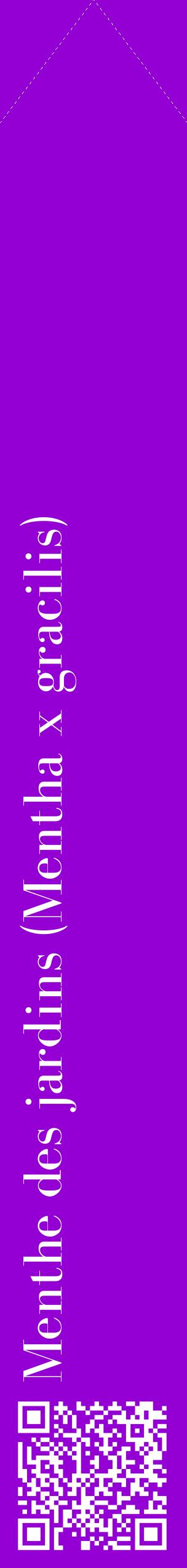 Étiquette de : Mentha x gracilis - format c - style blanche48_simplebod avec qrcode et comestibilité