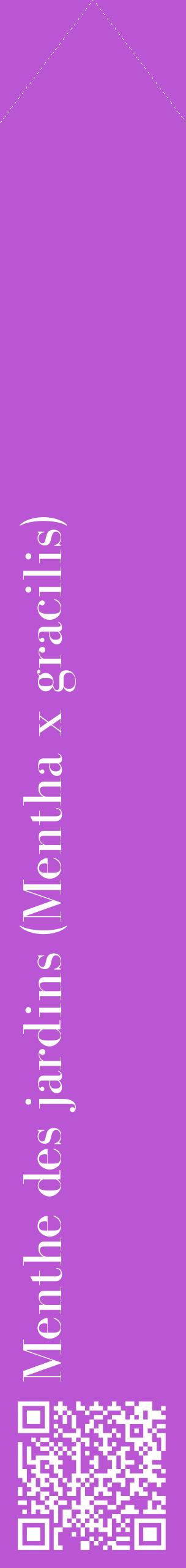 Étiquette de : Mentha x gracilis - format c - style blanche50_simplebod avec qrcode et comestibilité