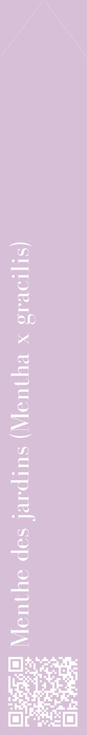 Étiquette de : Mentha x gracilis - format c - style blanche54_simplebod avec qrcode et comestibilité