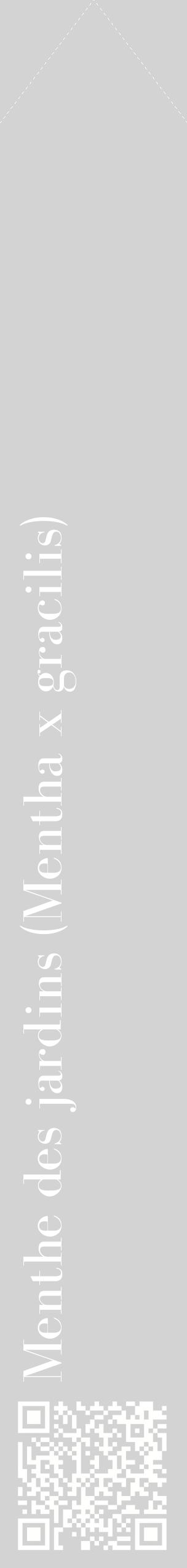 Étiquette de : Mentha x gracilis - format c - style blanche56_simplebod avec qrcode et comestibilité