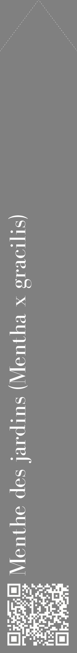 Étiquette de : Mentha x gracilis - format c - style blanche57_simplebod avec qrcode et comestibilité