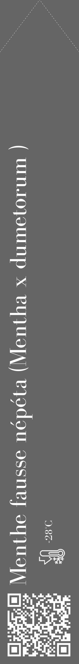 Étiquette de : Mentha x dumetorum  - format c - style blanche32_simple_simplebod avec qrcode et comestibilité - position verticale