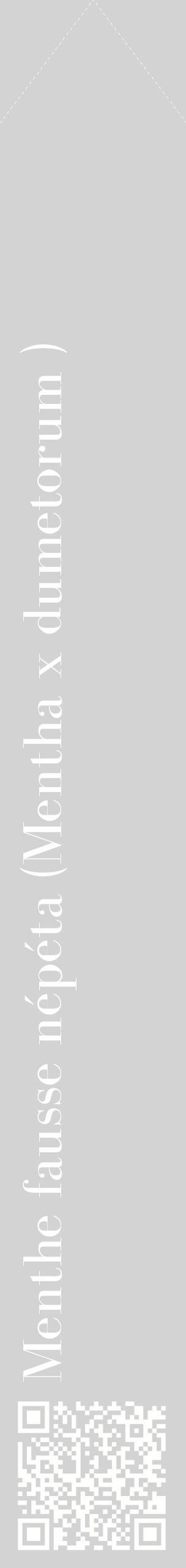Étiquette de : Mentha x dumetorum  - format c - style blanche56_simplebod avec qrcode et comestibilité
