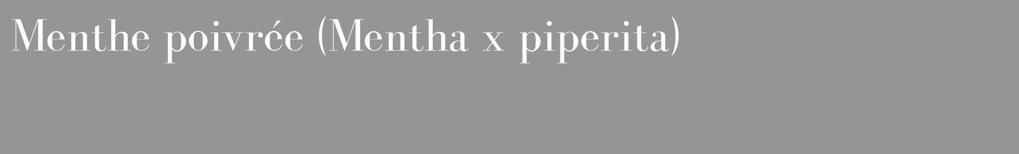 Étiquette de : Mentha x piperita - format c - style blanche16_basique_basiquebod avec comestibilité
