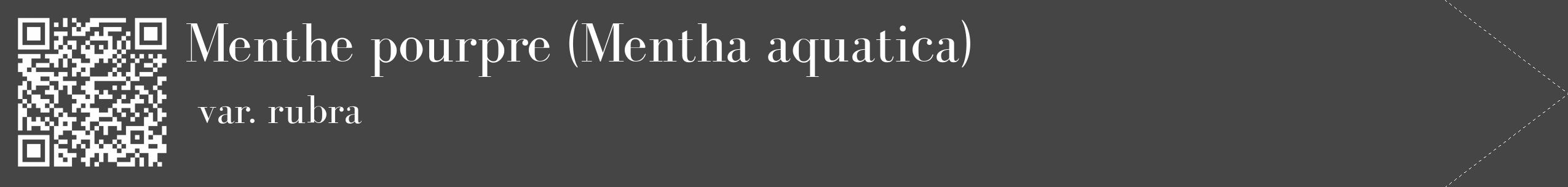 Étiquette de : Mentha aquatica var. rubra - format c - style blanche58_simple_simplebod avec qrcode et comestibilité