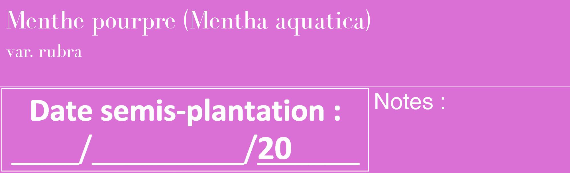 Étiquette de : Mentha aquatica var. rubra - format c - style blanche52_basique_basiquebod avec comestibilité