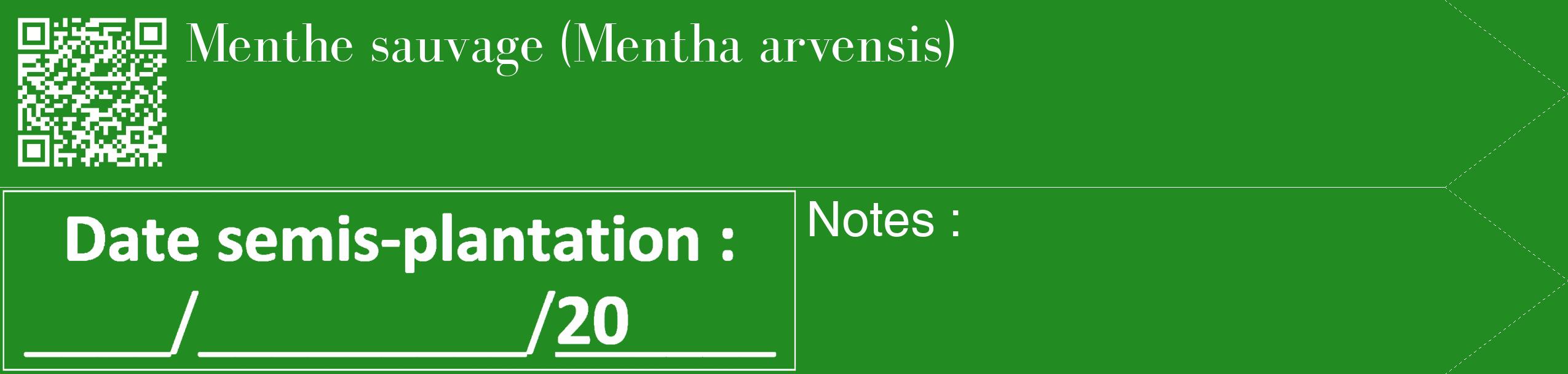 Étiquette de : Mentha arvensis - format c - style blanche10_simple_simplebod avec qrcode et comestibilité
