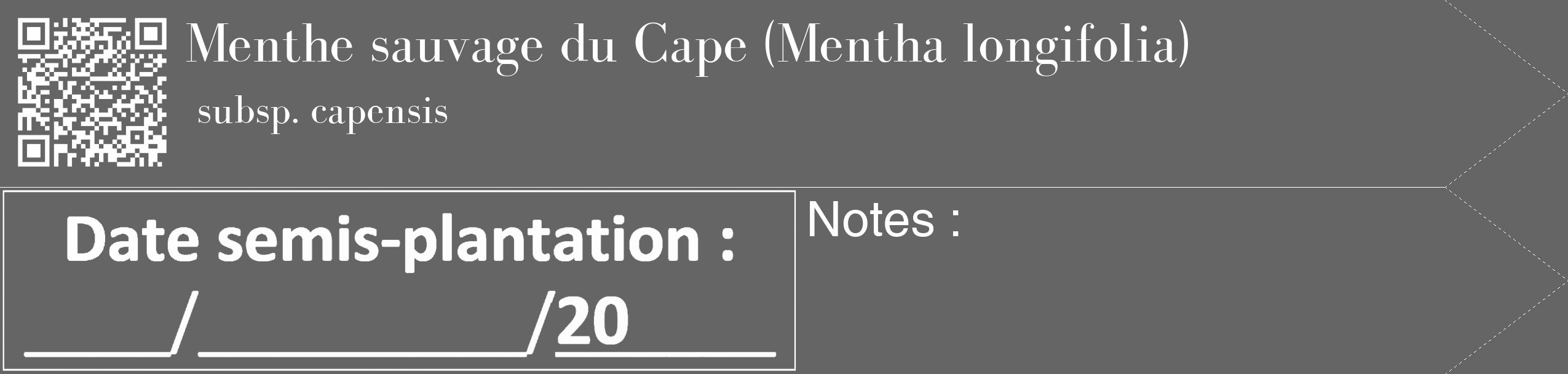 Étiquette de : Mentha longifolia subsp. capensis - format c - style blanche32_simple_simplebod avec qrcode et comestibilité