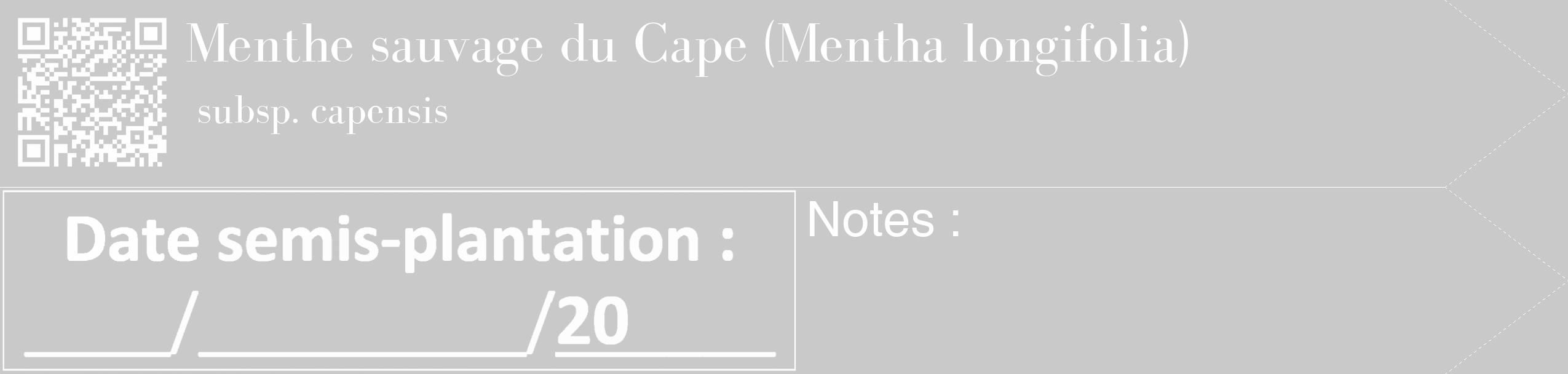 Étiquette de : Mentha longifolia subsp. capensis - format c - style blanche54_simple_simplebod avec qrcode et comestibilité