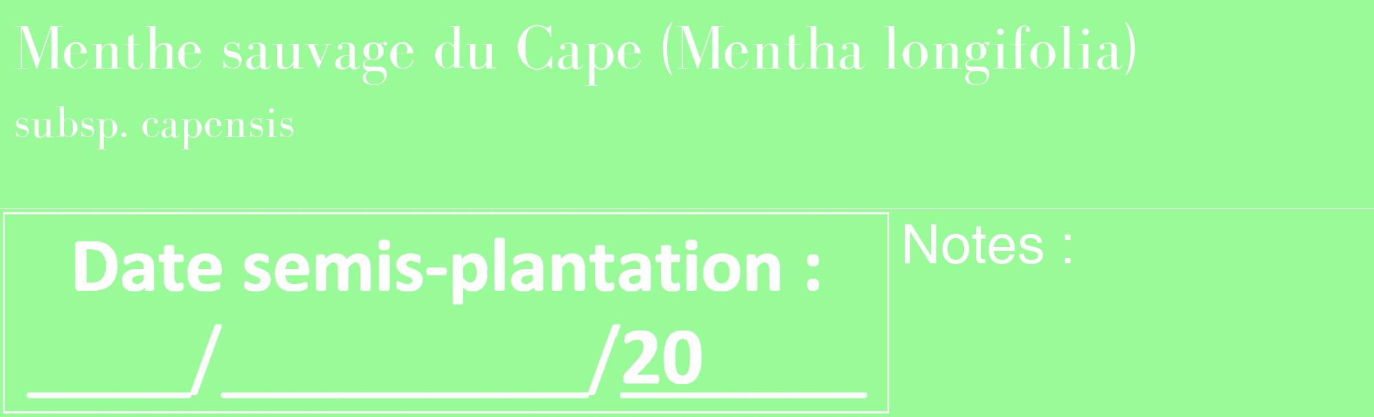 Étiquette de : Mentha longifolia subsp. capensis - format c - style blanche14_basique_basiquebod avec comestibilité
