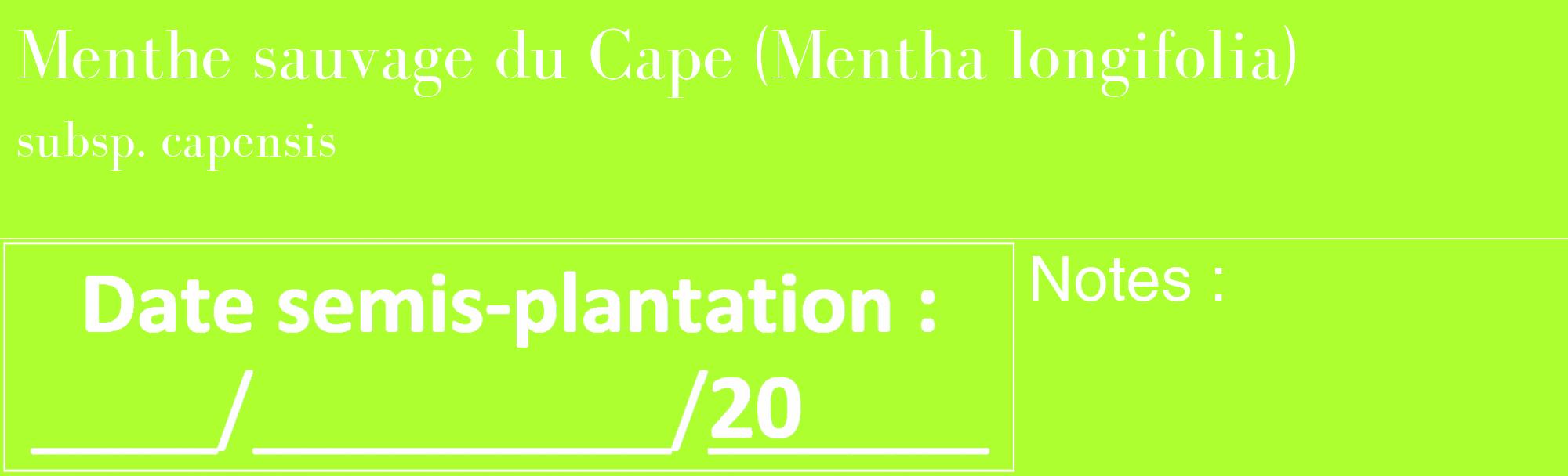 Étiquette de : Mentha longifolia subsp. capensis - format c - style blanche17_basique_basiquebod avec comestibilité