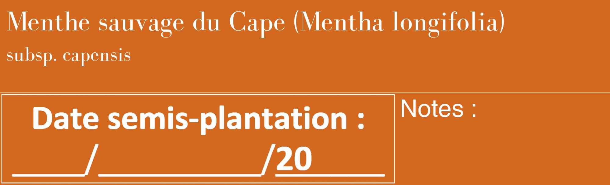 Étiquette de : Mentha longifolia subsp. capensis - format c - style blanche31_basique_basiquebod avec comestibilité