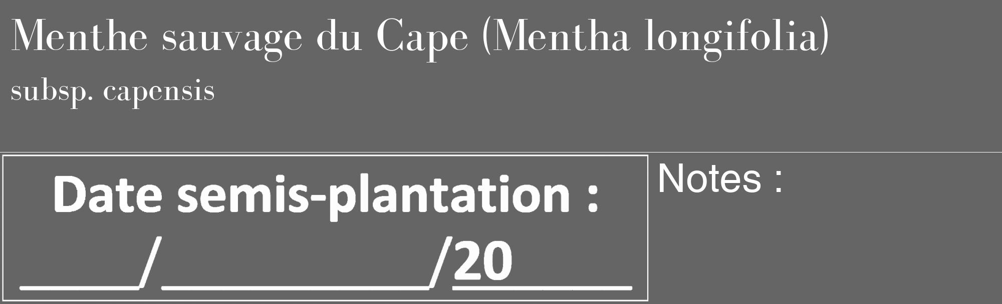 Étiquette de : Mentha longifolia subsp. capensis - format c - style blanche32_basique_basiquebod avec comestibilité