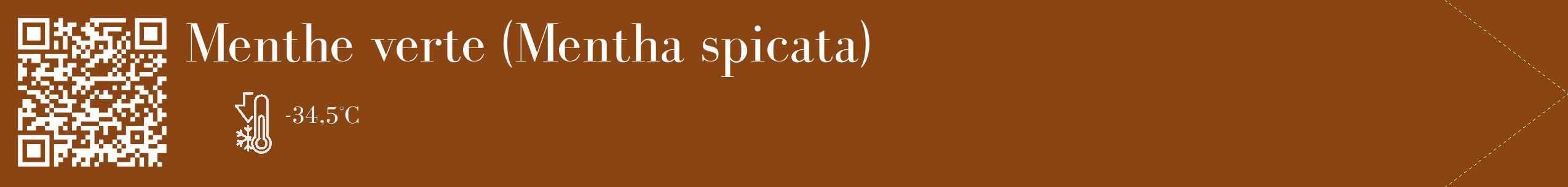 Étiquette de : Mentha spicata - format c - style blanche30_simple_simplebod avec qrcode et comestibilité