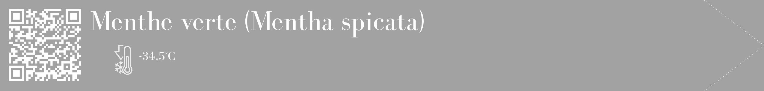 Étiquette de : Mentha spicata - format c - style blanche38_simple_simplebod avec qrcode et comestibilité