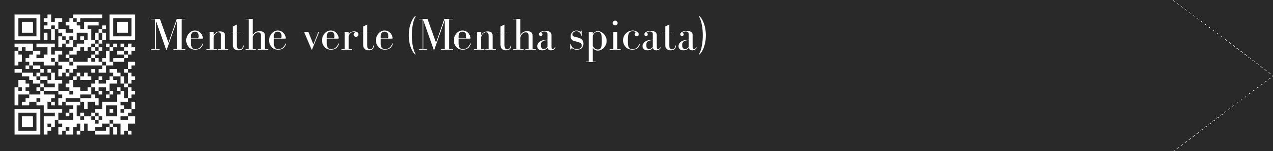 Étiquette de : Mentha spicata - format c - style blanche34_simple_simplebod avec qrcode et comestibilité
