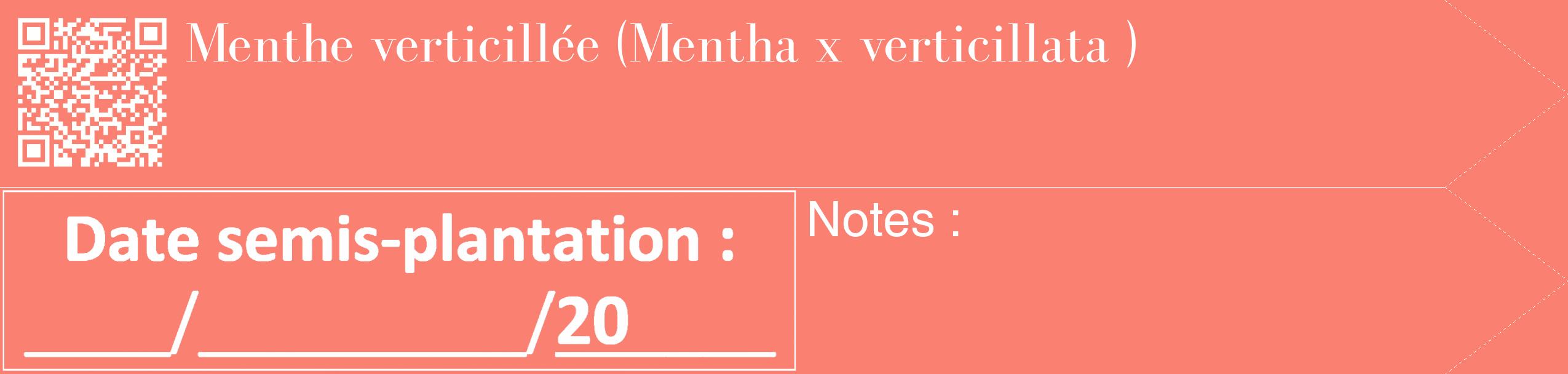 Étiquette de : Mentha x verticillata  - format c - style blanche38_simple_simplebod avec qrcode et comestibilité