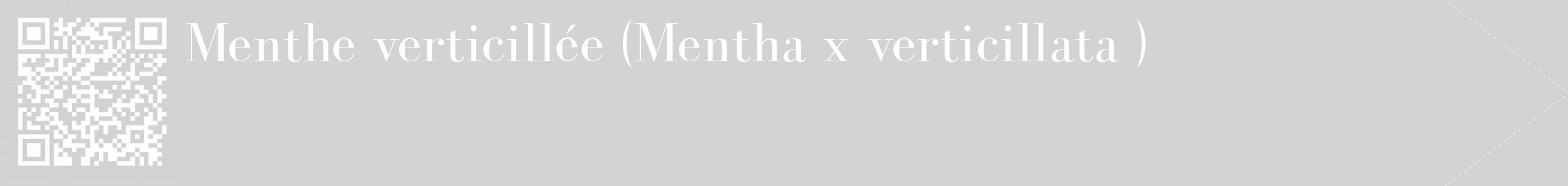 Étiquette de : Mentha x verticillata  - format c - style blanche56_simple_simplebod avec qrcode et comestibilité