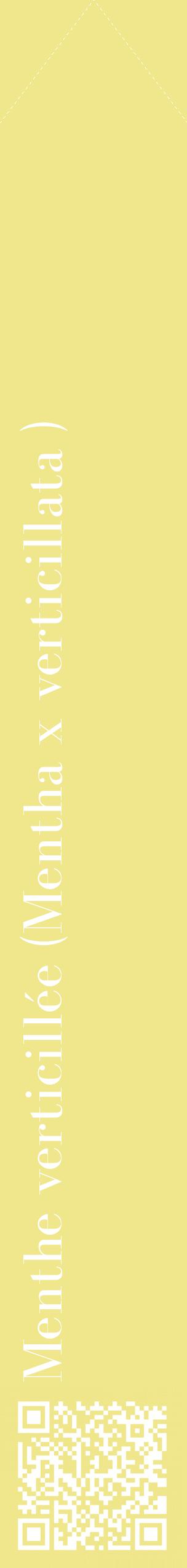 Étiquette de : Mentha x verticillata  - format c - style blanche20_simplebod avec qrcode et comestibilité