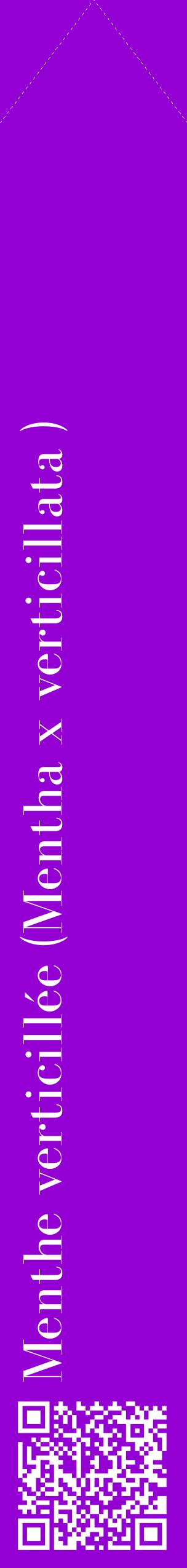 Étiquette de : Mentha x verticillata  - format c - style blanche48_simple_simplebod avec qrcode et comestibilité - position verticale