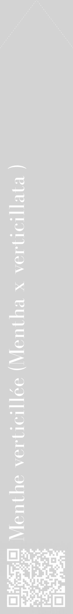 Étiquette de : Mentha x verticillata  - format c - style blanche56_simple_simplebod avec qrcode et comestibilité - position verticale