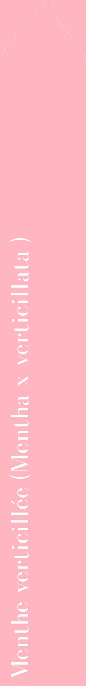 Étiquette de : Mentha x verticillata  - format c - style blanche41_simplebod avec comestibilité