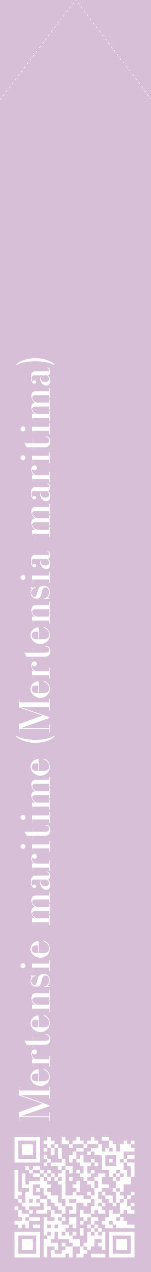 Étiquette de : Mertensia maritima - format c - style blanche54_simplebod avec qrcode et comestibilité