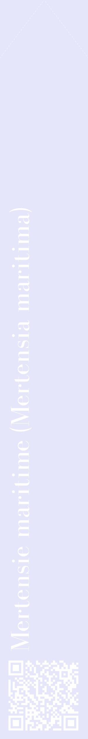 Étiquette de : Mertensia maritima - format c - style blanche55_simplebod avec qrcode et comestibilité
