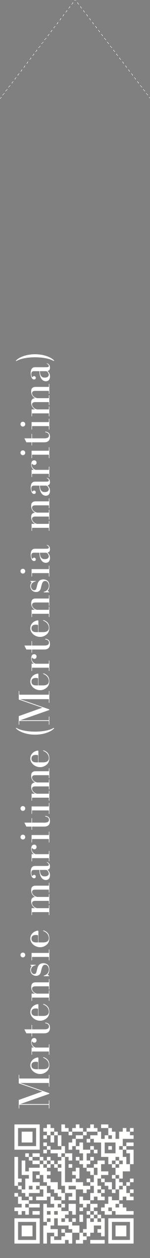 Étiquette de : Mertensia maritima - format c - style blanche57_simplebod avec qrcode et comestibilité