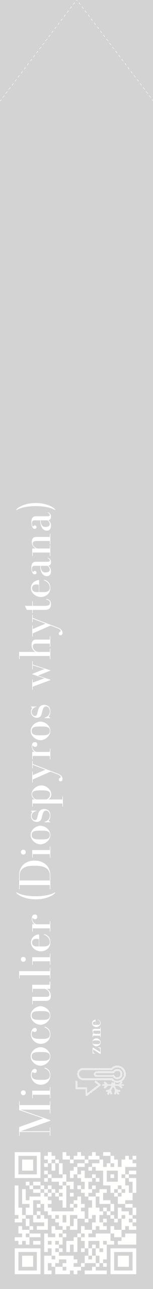 Étiquette de : Diospyros whyteana - format c - style blanche56_simple_simplebod avec qrcode et comestibilité - position verticale