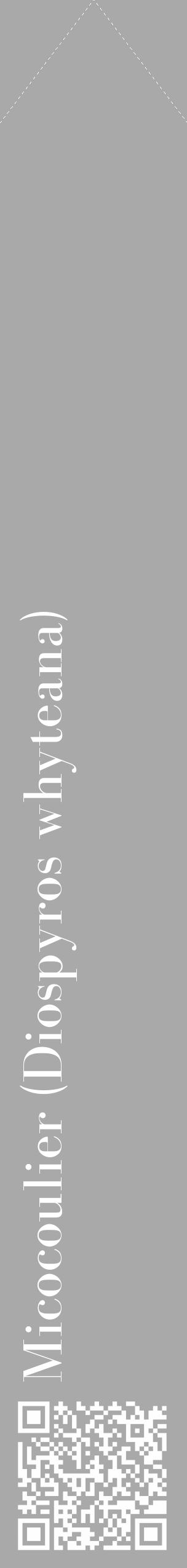 Étiquette de : Diospyros whyteana - format c - style blanche13_simple_simplebod avec qrcode et comestibilité - position verticale